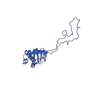 13180_7p3k_e_v1-1
Cryo-EM structure of 70S ribosome stalled with TnaC peptide (control)
