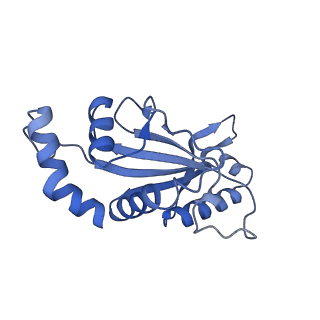 13180_7p3k_f_v1-1
Cryo-EM structure of 70S ribosome stalled with TnaC peptide (control)