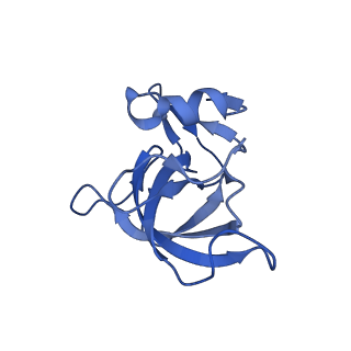 13180_7p3k_j_v1-1
Cryo-EM structure of 70S ribosome stalled with TnaC peptide (control)