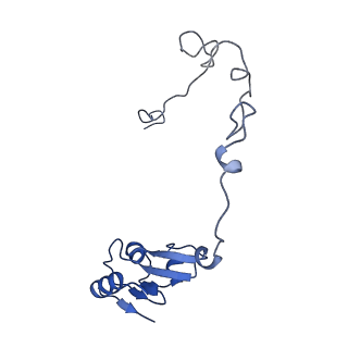 13180_7p3k_k_v1-1
Cryo-EM structure of 70S ribosome stalled with TnaC peptide (control)