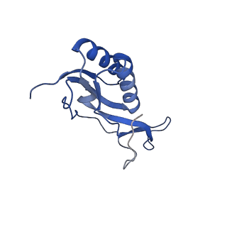 13180_7p3k_l_v1-1
Cryo-EM structure of 70S ribosome stalled with TnaC peptide (control)