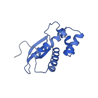 13180_7p3k_m_v1-1
Cryo-EM structure of 70S ribosome stalled with TnaC peptide (control)