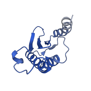 13180_7p3k_n_v1-1
Cryo-EM structure of 70S ribosome stalled with TnaC peptide (control)