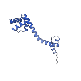 13180_7p3k_p_v1-1
Cryo-EM structure of 70S ribosome stalled with TnaC peptide (control)