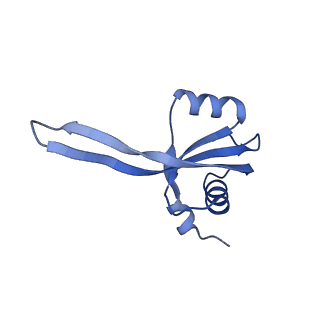 13180_7p3k_s_v1-1
Cryo-EM structure of 70S ribosome stalled with TnaC peptide (control)