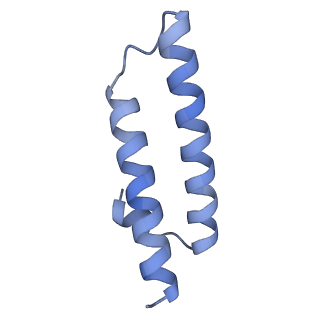 13180_7p3k_x_v1-1
Cryo-EM structure of 70S ribosome stalled with TnaC peptide (control)