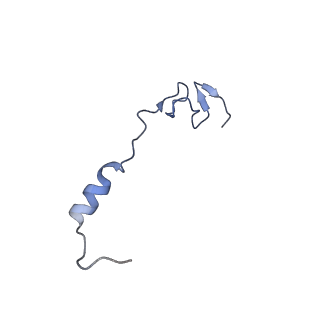13180_7p3k_z_v1-1
Cryo-EM structure of 70S ribosome stalled with TnaC peptide (control)