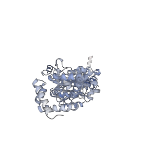 13181_7p3n_A_v1-2
F1Fo-ATP synthase from Acinetobacter baumannii (state 2)