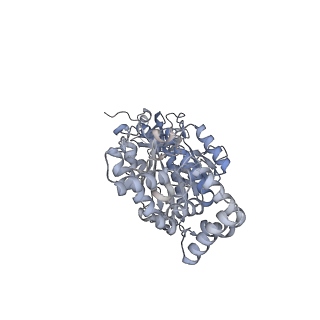 13181_7p3n_B_v1-2
F1Fo-ATP synthase from Acinetobacter baumannii (state 2)