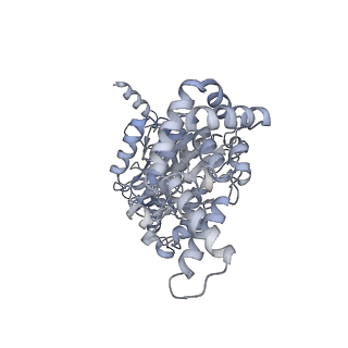 13181_7p3n_C_v1-2
F1Fo-ATP synthase from Acinetobacter baumannii (state 2)