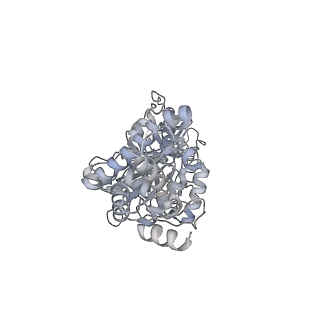 13181_7p3n_F_v1-2
F1Fo-ATP synthase from Acinetobacter baumannii (state 2)