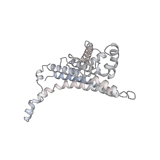 13181_7p3n_a_v1-2
F1Fo-ATP synthase from Acinetobacter baumannii (state 2)
