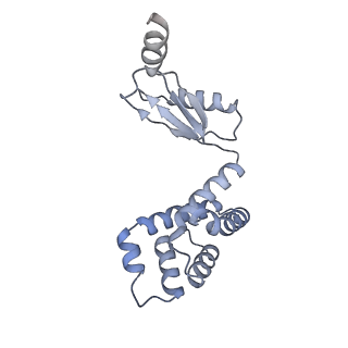 13181_7p3n_d_v1-2
F1Fo-ATP synthase from Acinetobacter baumannii (state 2)