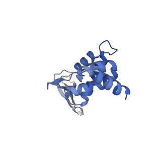 13182_7p3q_B_v1-1
Streptomyces coelicolor dATP/ATP-loaded NrdR octamer