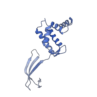 13182_7p3q_C_v1-1
Streptomyces coelicolor dATP/ATP-loaded NrdR octamer