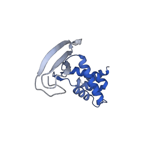 13182_7p3q_D_v1-1
Streptomyces coelicolor dATP/ATP-loaded NrdR octamer
