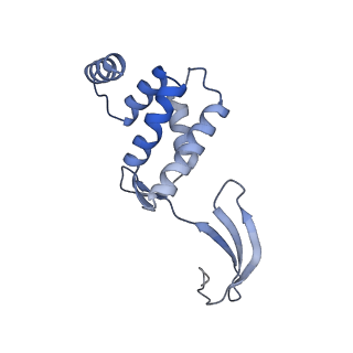13182_7p3q_E_v1-1
Streptomyces coelicolor dATP/ATP-loaded NrdR octamer