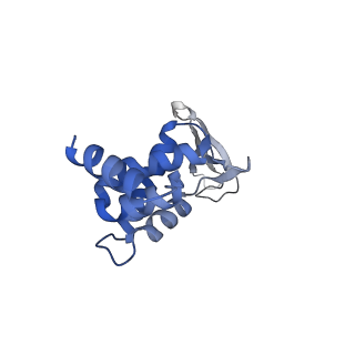 13182_7p3q_F_v1-1
Streptomyces coelicolor dATP/ATP-loaded NrdR octamer