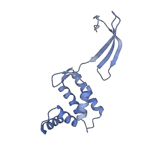 13182_7p3q_G_v1-1
Streptomyces coelicolor dATP/ATP-loaded NrdR octamer