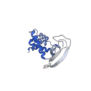 13182_7p3q_H_v1-1
Streptomyces coelicolor dATP/ATP-loaded NrdR octamer