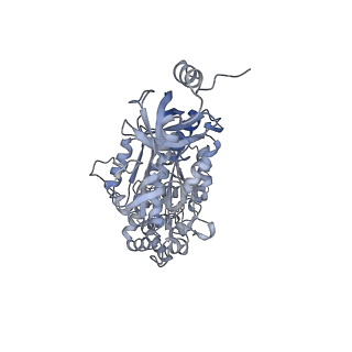 13186_7p3w_B_v1-2
F1Fo-ATP synthase from Acinetobacter baumannii (state 3)