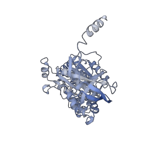 13186_7p3w_C_v1-2
F1Fo-ATP synthase from Acinetobacter baumannii (state 3)