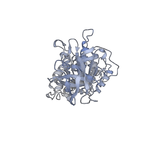13186_7p3w_D_v1-2
F1Fo-ATP synthase from Acinetobacter baumannii (state 3)