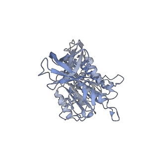 13186_7p3w_F_v1-2
F1Fo-ATP synthase from Acinetobacter baumannii (state 3)