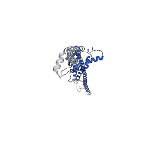 17387_8p3o_A_v1-1
Full-length bacterial polysaccharide co-polymerase WzzE mutant R267A from E. coli. C4 symmetry