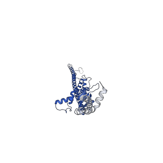 17387_8p3o_E_v1-1
Full-length bacterial polysaccharide co-polymerase WzzE mutant R267A from E. coli. C4 symmetry