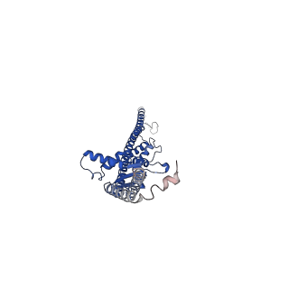 17389_8p3p_A_v1-1
Full-length bacterial polysaccharide co-polymerase WzzE mutant R267E from E. coli. C4 symmetry