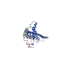 17389_8p3p_C_v1-1
Full-length bacterial polysaccharide co-polymerase WzzE mutant R267E from E. coli. C4 symmetry