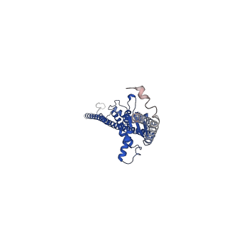 17389_8p3p_D_v1-1
Full-length bacterial polysaccharide co-polymerase WzzE mutant R267E from E. coli. C4 symmetry