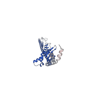 17389_8p3p_E_v1-1
Full-length bacterial polysaccharide co-polymerase WzzE mutant R267E from E. coli. C4 symmetry