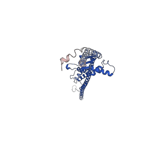 17389_8p3p_F_v1-1
Full-length bacterial polysaccharide co-polymerase WzzE mutant R267E from E. coli. C4 symmetry