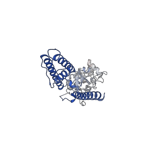 17393_8p3s_D_v1-3
Homomeric GluA2 flip R/G-unedited Q/R-edited F231A mutant in tandem with TARP gamma-2, desensitized conformation 2