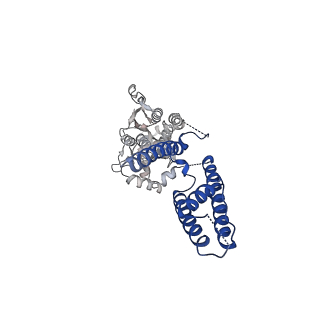 17396_8p3v_D_v1-3
Homomeric GluA1 in tandem with TARP gamma-3, desensitized conformation 3