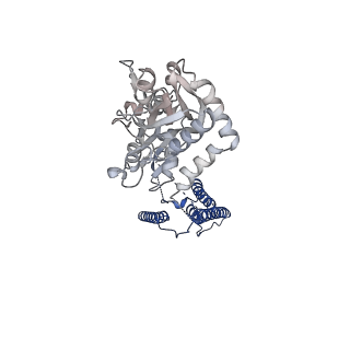 17398_8p3x_B_v1-3
Homomeric GluA2 flip R/G-edited Q/R-edited F231A mutant in tandem with TARP gamma-2, desensitized conformation 1