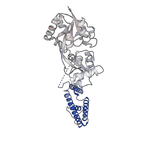 17398_8p3x_C_v1-3
Homomeric GluA2 flip R/G-edited Q/R-edited F231A mutant in tandem with TARP gamma-2, desensitized conformation 1