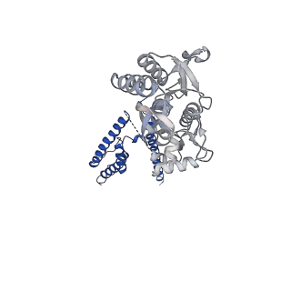 17398_8p3x_D_v1-3
Homomeric GluA2 flip R/G-edited Q/R-edited F231A mutant in tandem with TARP gamma-2, desensitized conformation 1