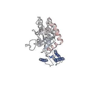 17399_8p3y_B_v1-3
Homomeric GluA2 flip R/G-edited Q/R-edited F231A mutant in tandem with TARP gamma-2, desensitized conformation 3