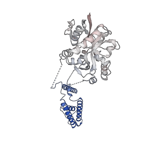 17399_8p3y_C_v1-3
Homomeric GluA2 flip R/G-edited Q/R-edited F231A mutant in tandem with TARP gamma-2, desensitized conformation 3