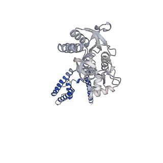 17399_8p3y_D_v1-3
Homomeric GluA2 flip R/G-edited Q/R-edited F231A mutant in tandem with TARP gamma-2, desensitized conformation 3