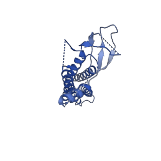 17399_8p3y_H_v1-3
Homomeric GluA2 flip R/G-edited Q/R-edited F231A mutant in tandem with TARP gamma-2, desensitized conformation 3