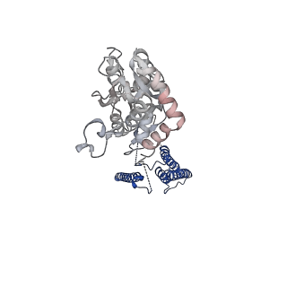 17400_8p3z_B_v1-3
Homomeric GluA2 flip R/G-edited Q/R-edited F231A mutant in tandem with TARP gamma-2, desensitized conformation 2
