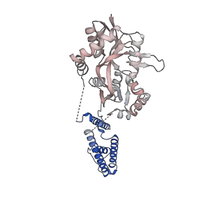 17400_8p3z_C_v1-3
Homomeric GluA2 flip R/G-edited Q/R-edited F231A mutant in tandem with TARP gamma-2, desensitized conformation 2