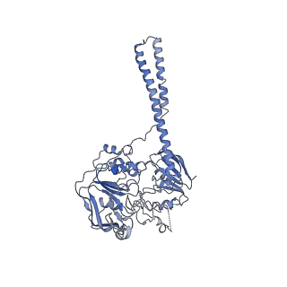 13191_7p48_6_v1-2
Staphylococcus aureus ribosome in complex with Sal(B)
