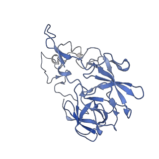 13191_7p48_C_v1-2
Staphylococcus aureus ribosome in complex with Sal(B)