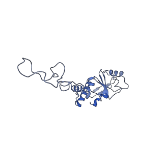 13191_7p48_E_v1-2
Staphylococcus aureus ribosome in complex with Sal(B)