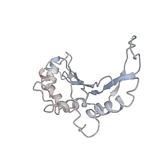 13191_7p48_F_v1-2
Staphylococcus aureus ribosome in complex with Sal(B)